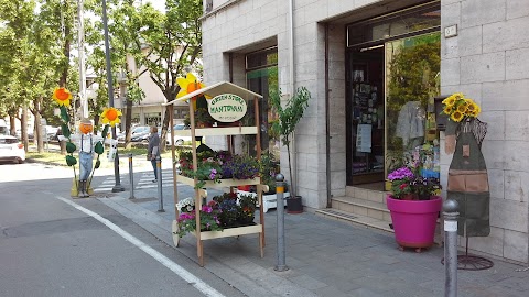 Green Store Mantovani S.n.c.