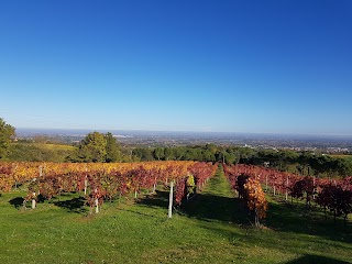 Assirelli Vini "Cantina da Vittorio"