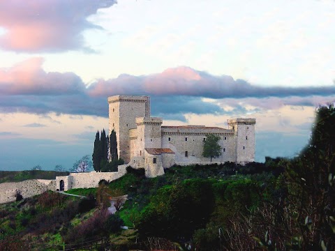 L'Isola Dei Cuccioli Di Sacripanti Monica