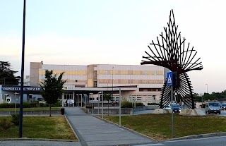 Ospedale di Treviso