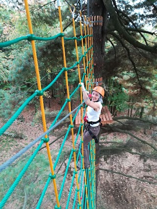 Adventure Park Lago d'Orta Le Pigne