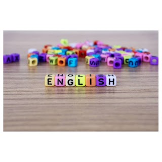 School Of English Lingua +