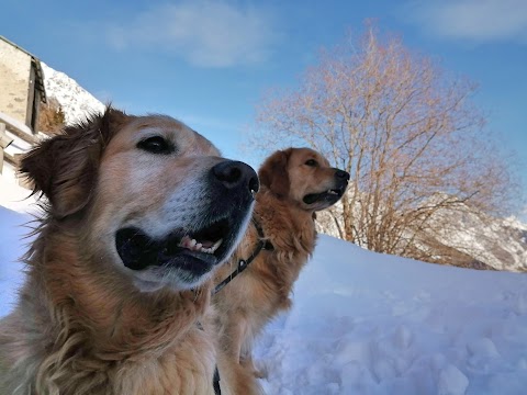 KEEParla - educazione cinofila - pet therapy