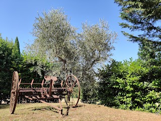 Casa di Ciliegi, Gambassi Terme