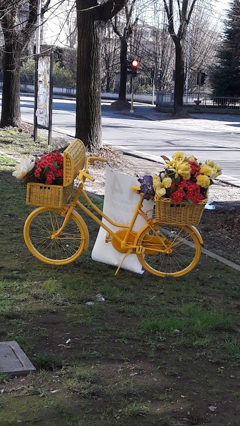 Fiori Di. .. di Stefani Paola