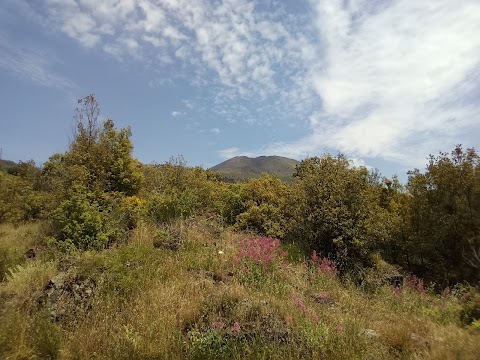 Associazione Vesuvio Natura da Esplorare