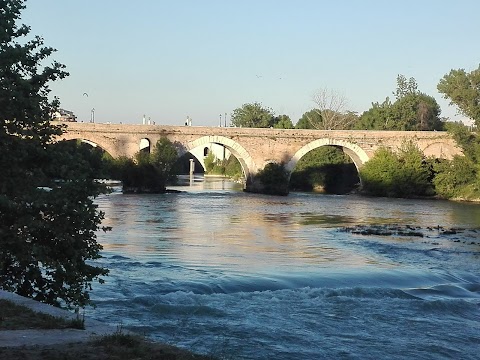 Foto di Nuoto Belle Arti - Lungotevere Grande Ammiraglio Thaon di Revel 3, Roma (RM), Italia