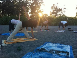 Yoga della tradizione. Ines Rosano Federazione italiana yoga