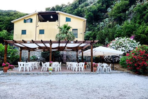 Il giardino