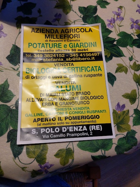 Azienda agricola millefiori di Ravasini e Camelia