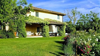 Organic Tuscany Cooking Classes