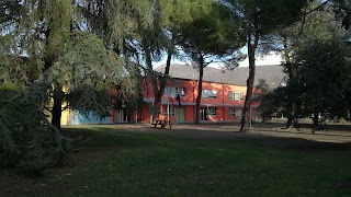 Scuola Primaria Puccini