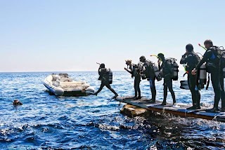 VOLCANIC DIVING SCHOOL