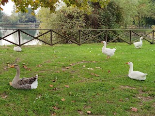 Parco Sandro Pertini