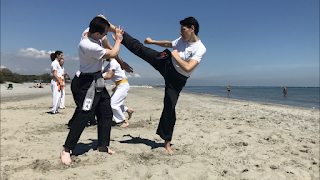 Centro Studi Kung-Fu CSKF-Brescia