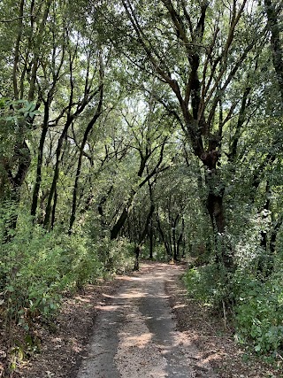 Oasi WWF Bosco di San Silvestro