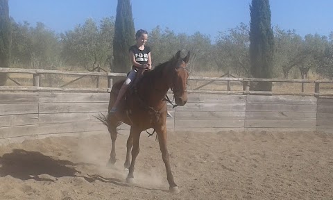 Fattoria Delle Due Rose Circolo Equestre