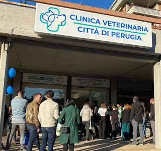 Clinica Veterinaria Città di Perugia