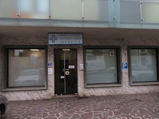 Ambulatorio Veterinario Merena
