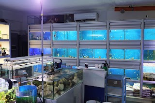 L' Acquario Animals House