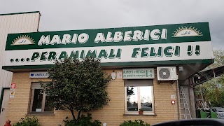 Mario Alberici S.a.s. di Alberici Antonio & C. NEGOZIO