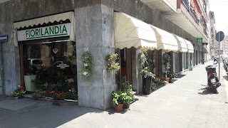 Fiorista Fiorilandia Milano - Vendita Fiori e Piante e Servizi Floreali