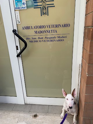 VETERINARIA MADONNETTA DOTT. PASQUALE MEDURI