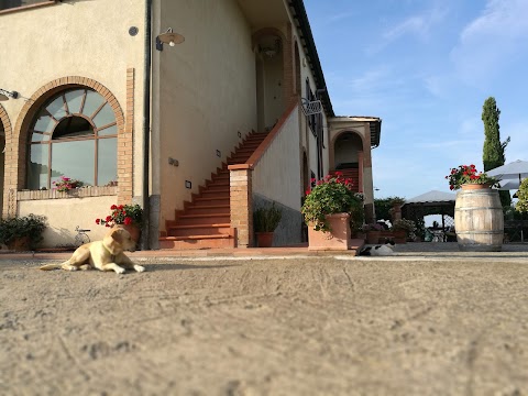 Agriturismo il Girasole San Gimignano