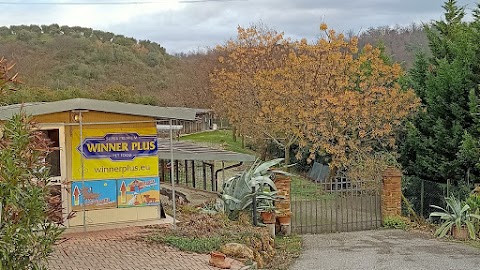 IL CASTELLARE pensione per cani