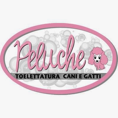 Peluche - Toelettatura cani e gatti