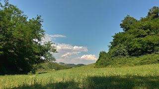 Le Selve Castel Del Rio Complesso Turistico