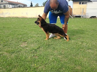 Dog Paradise - Centro educazione cinofila