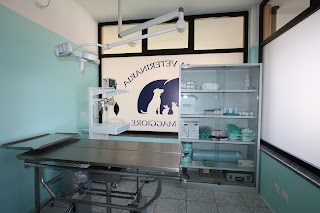 Clinica Veterinaria Orsa Maggiore