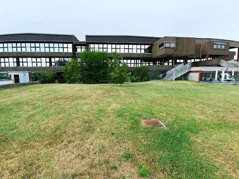 Università degli Studi di Parma - Dipartimento di Scienze Chimiche, della Vita e della Sostenibilità Ambientale