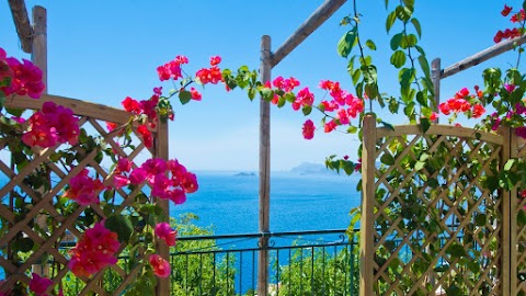 Ag. Positano Vacanze - Give Me Coast