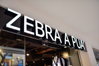 Zebra a Puà Jesolo 598