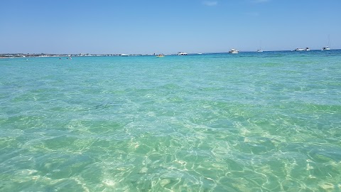 Area naturale marina protetta Porto Cesareo