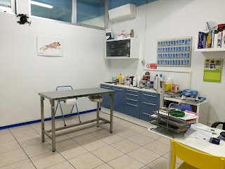Ambulatorio Veterinario Dalmazia Dott. Bonazza Marco Foselli