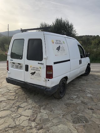 Autofficina Elettrauto Alaimo Giuseppe