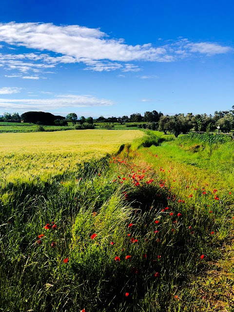 Agriturismo San Matteo