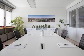 Ansped Srl