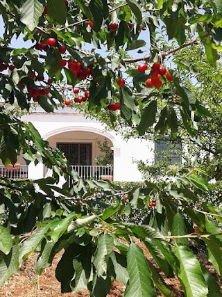 B&B LA VOLPINA -MARTINA FRANCA