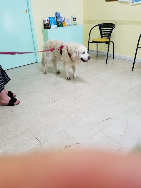 Centro Veterinario Nizzola di Galimberti Dr. Riccardo