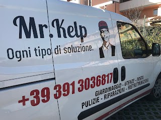 Mister Mr. Kelp Firenze