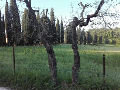 Locanda Montaguglione