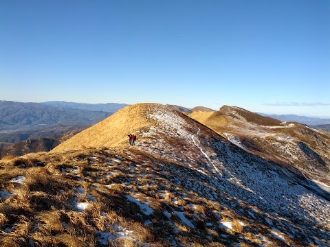 Riserva MAB Appennino Tosco-Emiliano