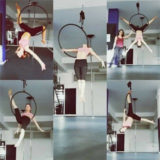 SheWolf Pole Dance Studio