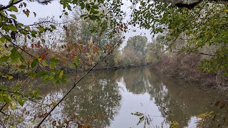 Riserva naturale orientata Parma Morta