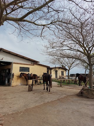 Passeggiate a cavallo - I tre confini