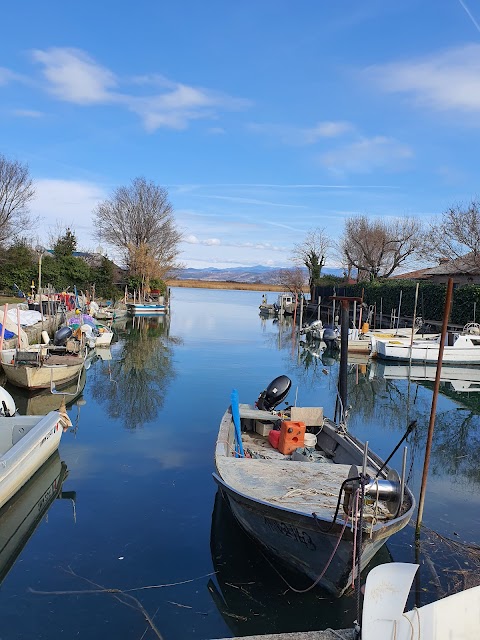 Riserva Naturale Regionale della Foce dell'Isonzo Isola della Cona